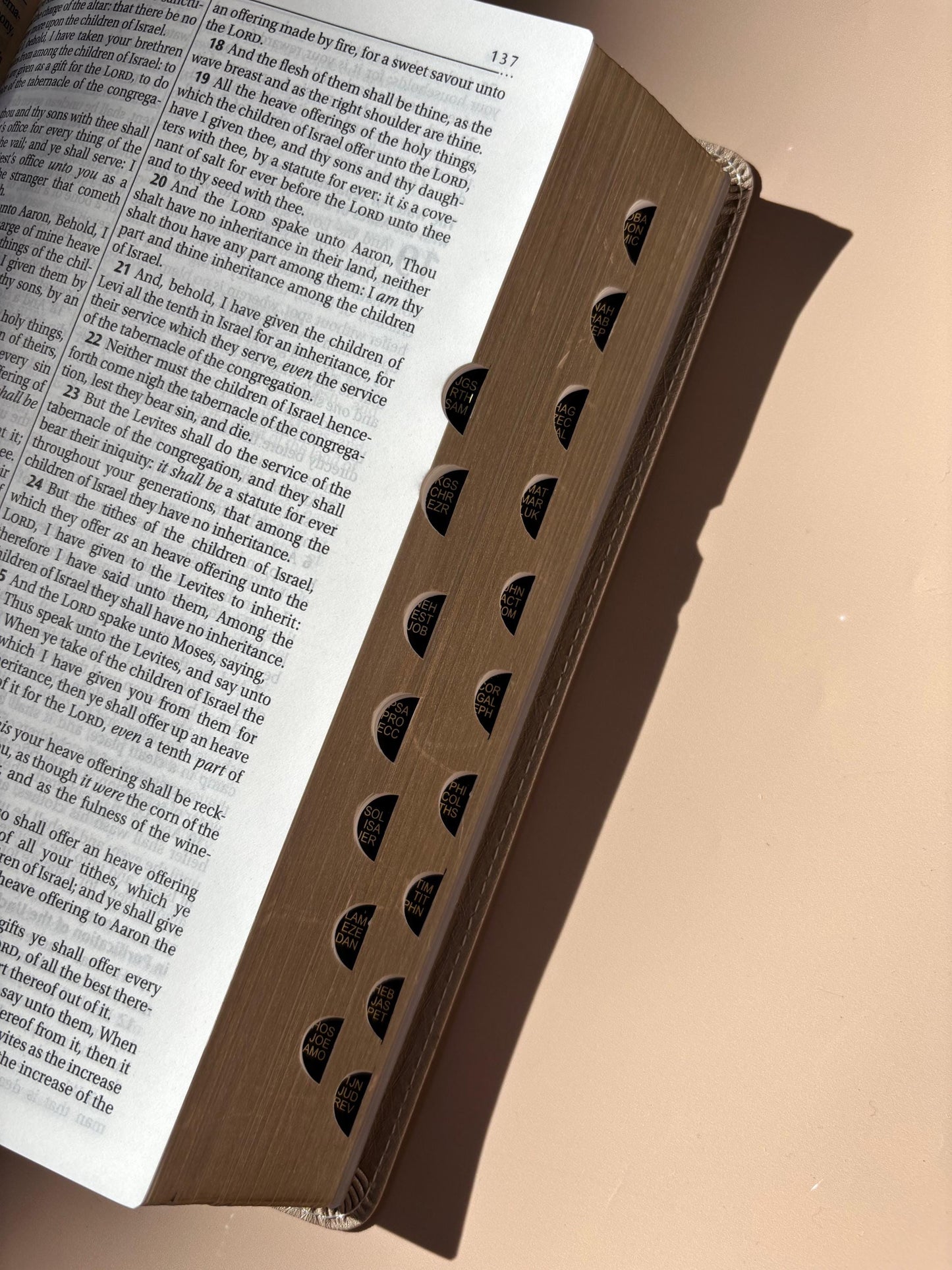 Personalized KJV Bible for Women Custom Holy Bible Gift Engraved First Christian Bible for Her Baptism Gift Devotional & Study Bible