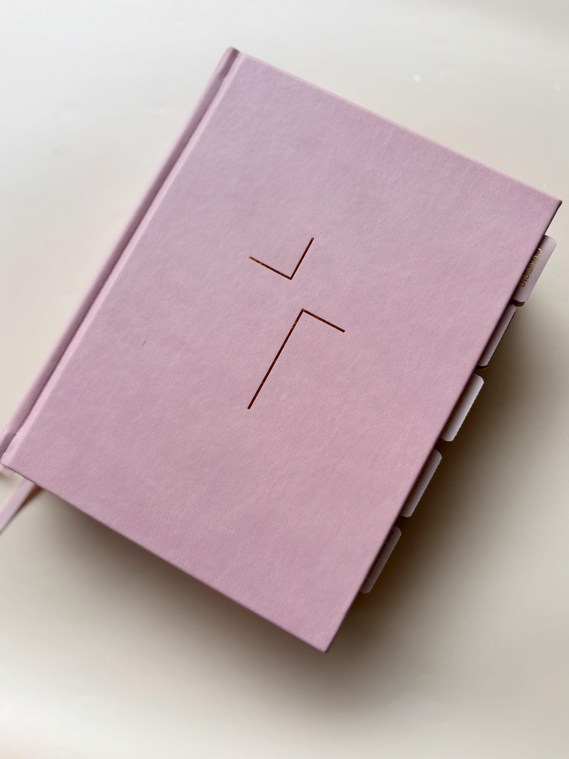 Pink NIV Tabbed Bible for Christian Women Tabbed Bible Gift for Bible Study Gift for Daughter Faith Scripture Gift for Devotional Christian