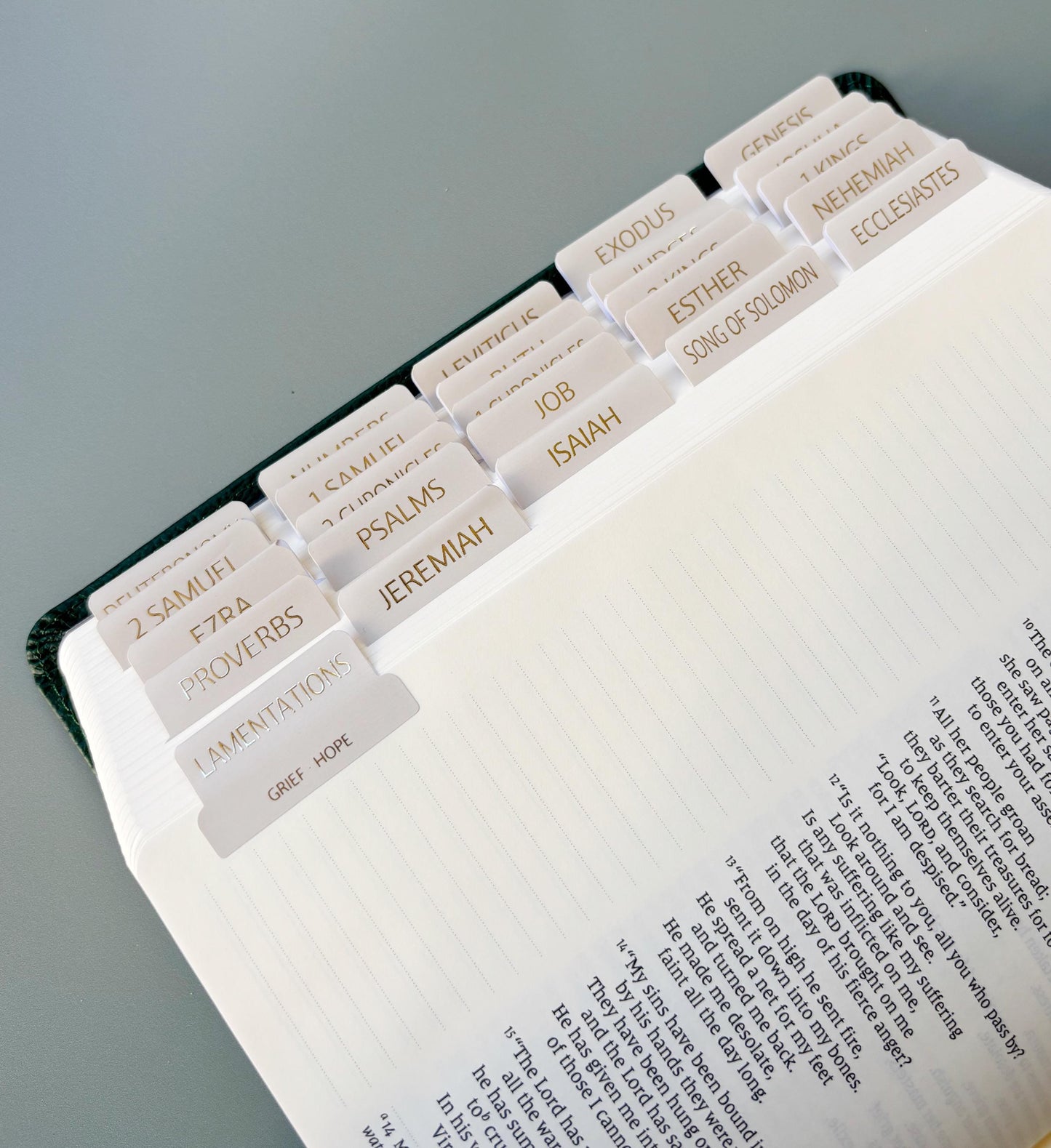 NIV Tabbed Bible for Gift for Christian Devotional Tabbed Holy Bible Study Gift for Him and Her New Year Jesus Bible Prayer Journal Kit 2026