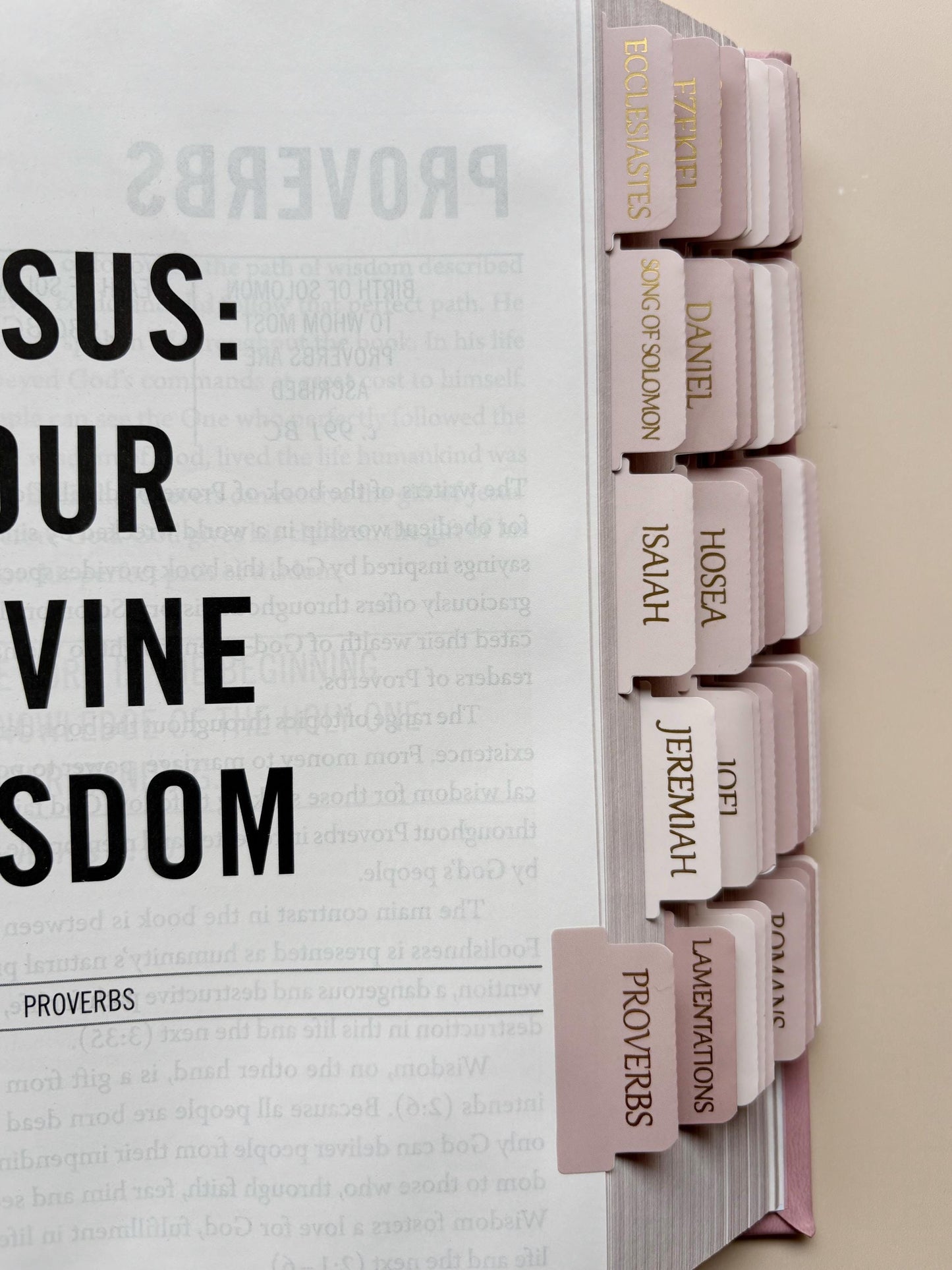 Pink NIV Tabbed Bible for Christian Women Tabbed Bible Gift for Bible Study Gift for Daughter Faith Scripture Gift for Devotional Christian
