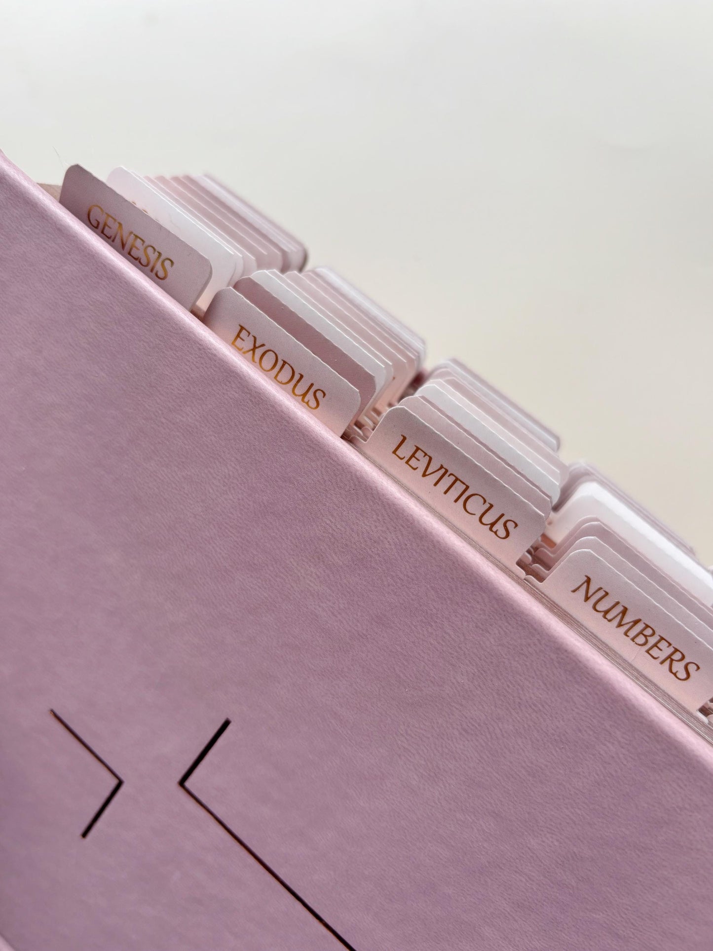 Pink NIV Tabbed Bible for Christian Women Tabbed Bible Gift for Bible Study Gift for Daughter Faith Scripture Gift for Devotional Christian