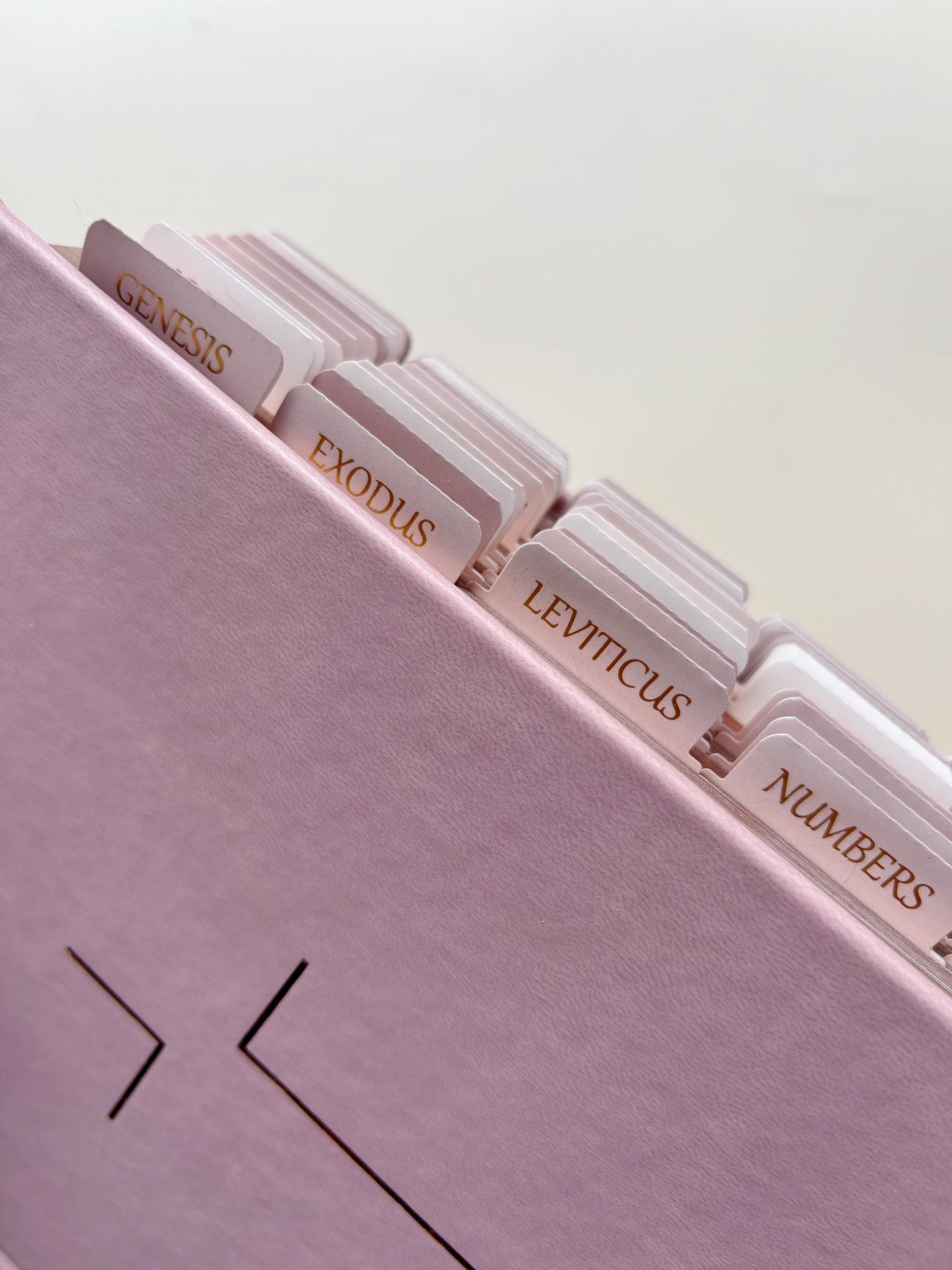 Pink NIV Tabbed Bible for Christian Women Tabbed Bible Gift for Bible Study Gift for Daughter Faith Scripture Gift for Devotional Christian