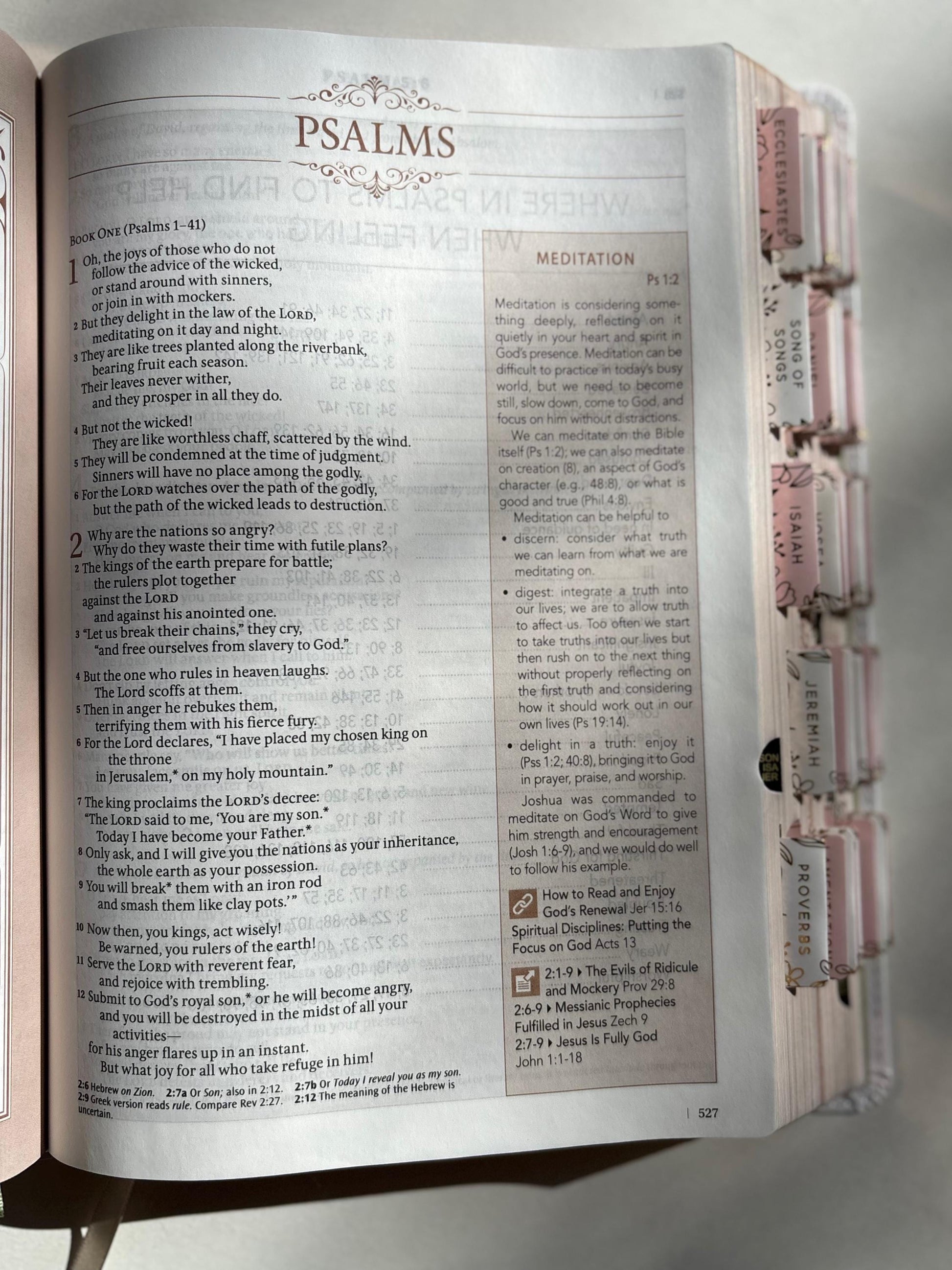 Floral NLT Tabbed Holy Bible for Gift for Christian New Living Testament Bible Study Gift for Spiritual Growth Bible Youth Group Bible
