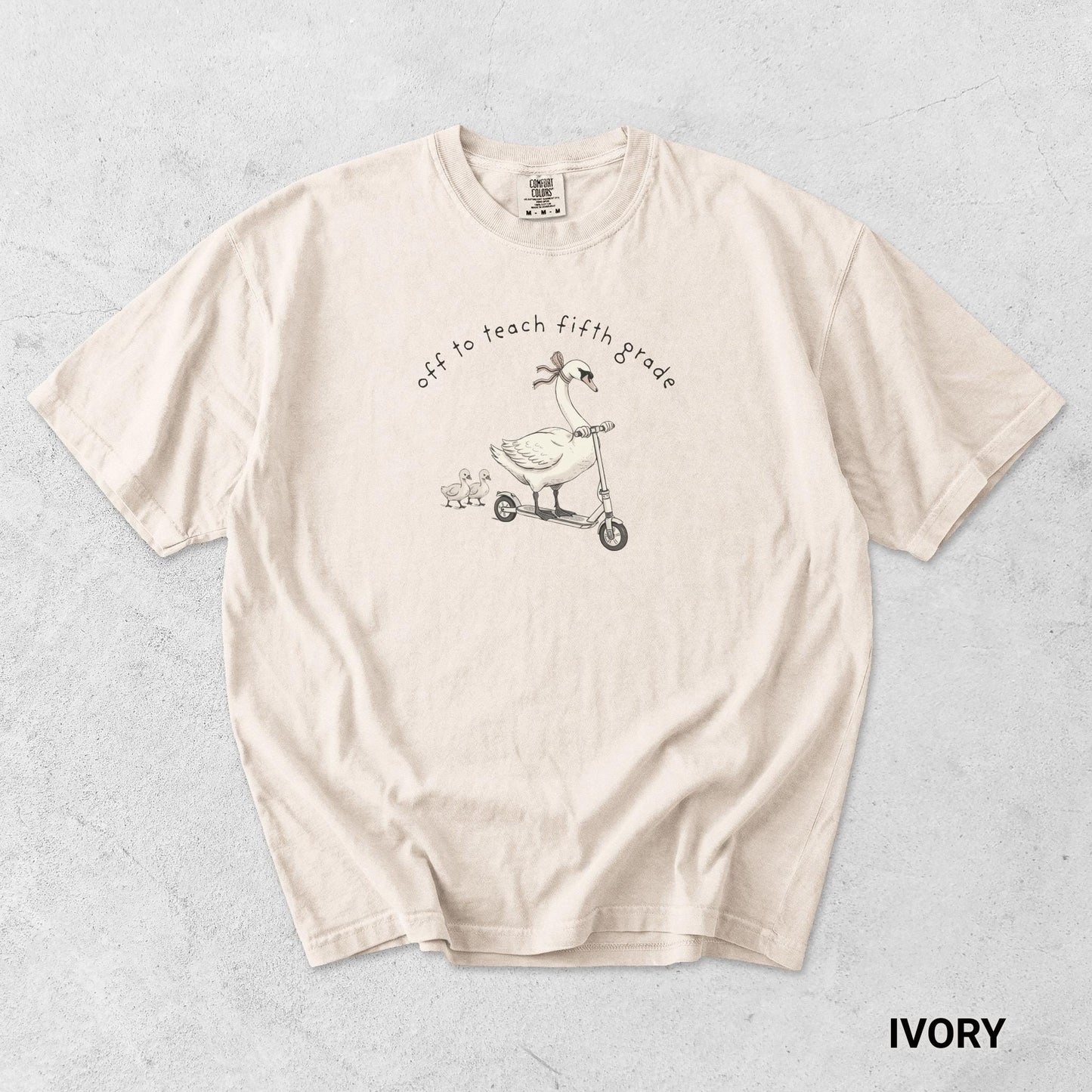 Pilates Graphic Tee Funny Workout Shirt Women Gym Apparel Fitness Gift Goose Design Cotton Top Oversized Comfort Casual Wear